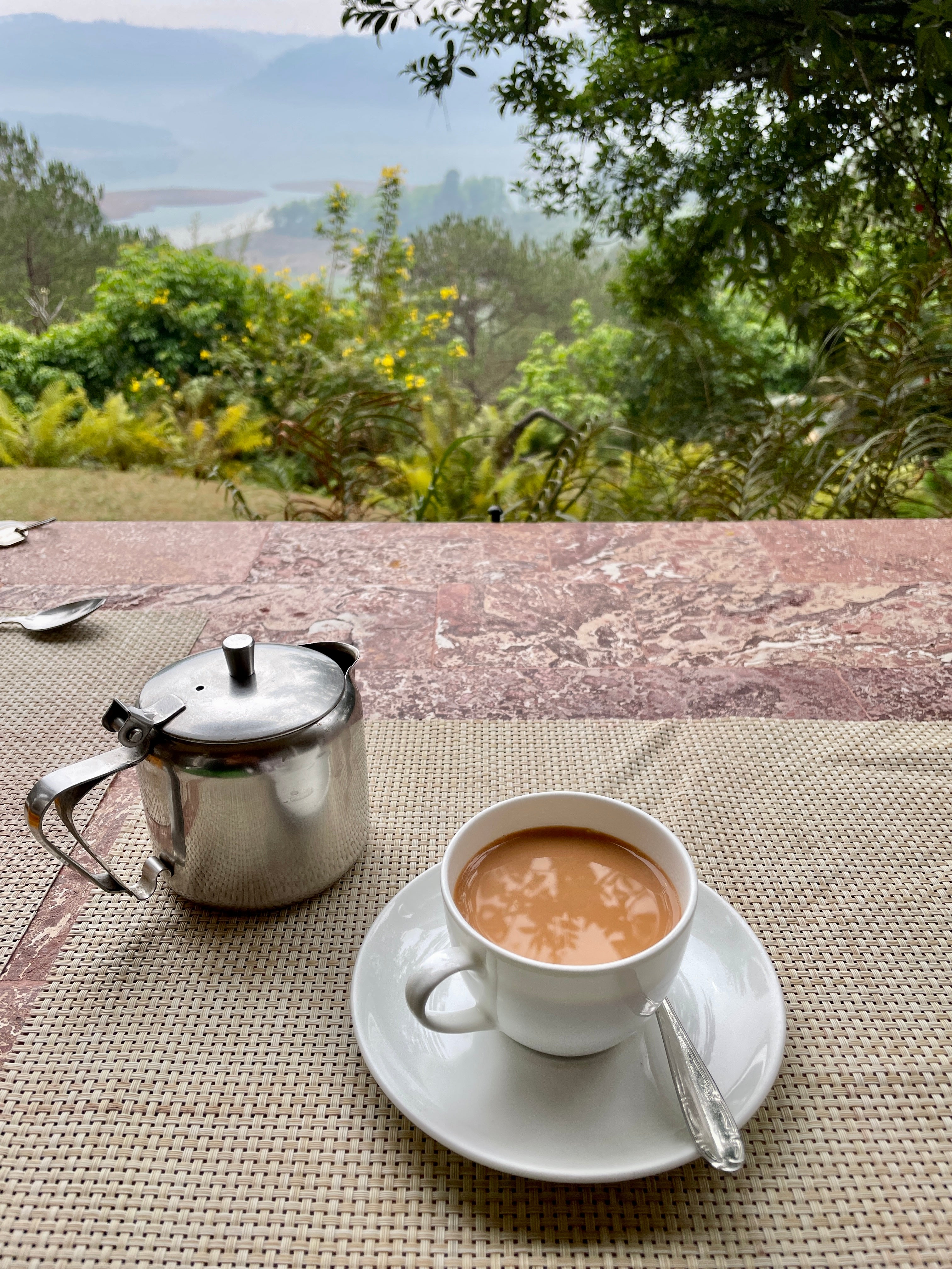 cup of chai with tea pot in a wilderness background